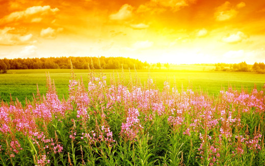 531401 (a): :2560x1600